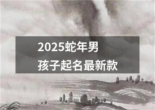 2025蛇年男孩子起名最新款
