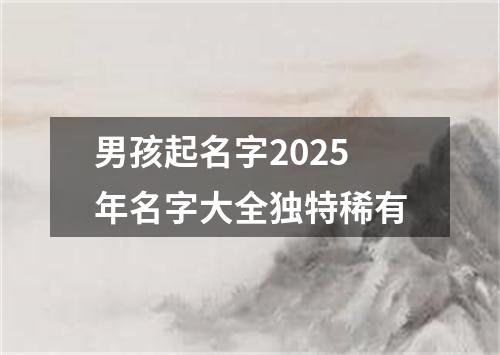 男孩起名字2025年名字大全独特稀有