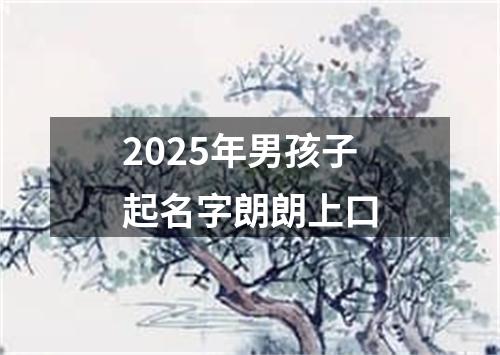 2025年男孩子起名字朗朗上口