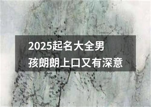 2025起名大全男孩朗朗上口又有深意