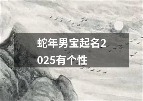 蛇年男宝起名2025有个性