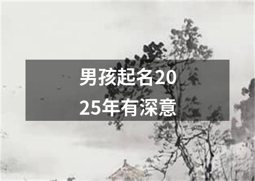 男孩起名2025年有深意