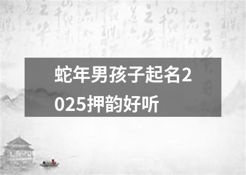 蛇年男孩子起名2025押韵好听