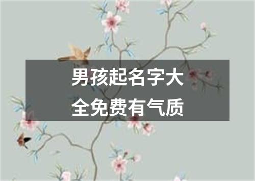 男孩起名字大全免费有气质