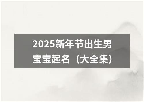 2025新年节出生男宝宝起名（大全集）