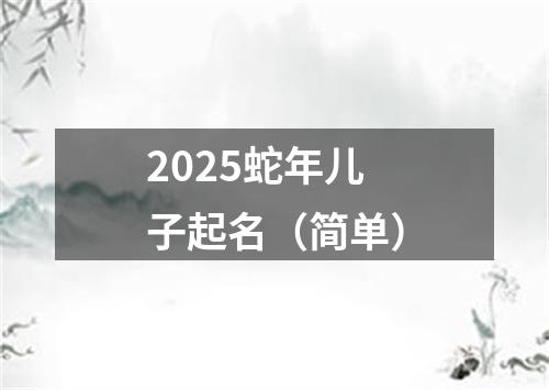 2025蛇年儿子起名（简单）