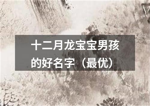 十二月龙宝宝男孩的好名字（最优）