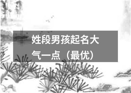 姓段男孩起名大气一点（最优）