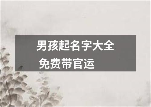 男孩起名字大全 免费带官运