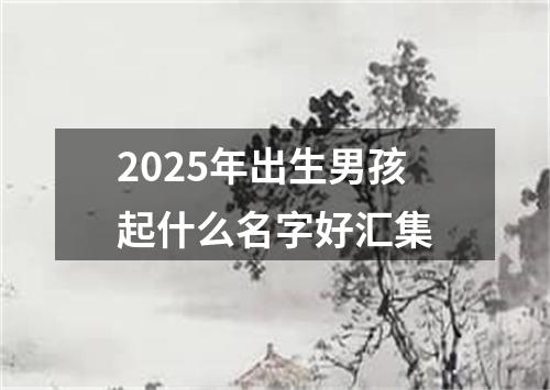 2025年出生男孩起什么名字好汇集