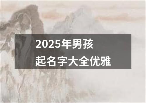 2025年男孩起名字大全优雅