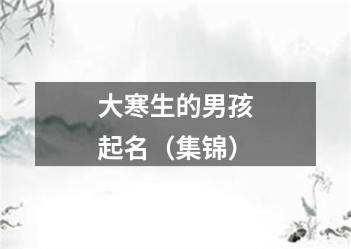 大寒生的男孩起名（集锦）