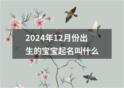 2024年12月份出生的宝宝起名叫什么