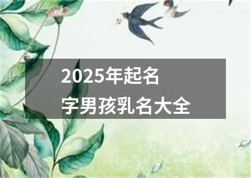 2025年起名字男孩乳名大全