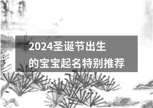 2024圣诞节出生的宝宝起名特别推荐