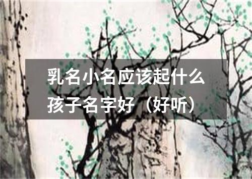 乳名小名应该起什么孩子名字好（好听）