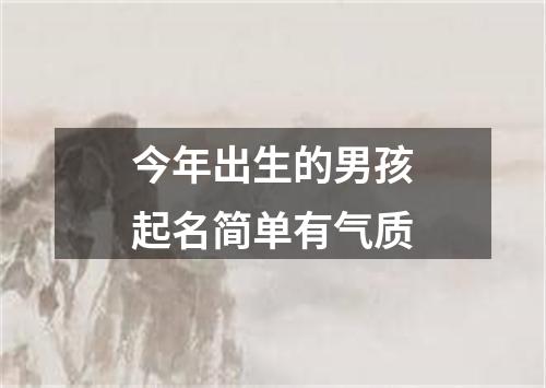 今年出生的男孩起名简单有气质