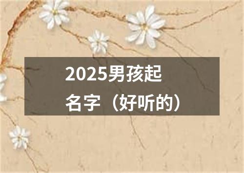 2025男孩起名字（好听的）
