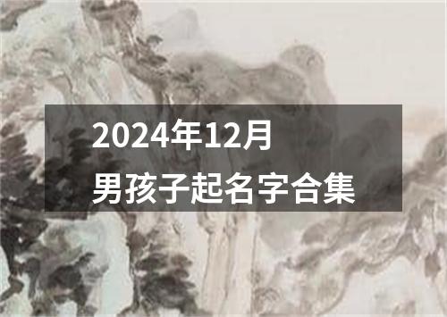 2024年12月男孩子起名字合集