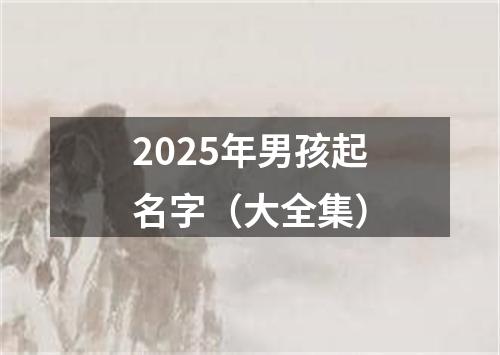 2025年男孩起名字（大全集）