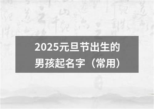 2025元旦节出生的男孩起名字（常用）