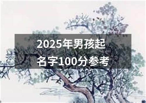 2025年男孩起名字100分参考