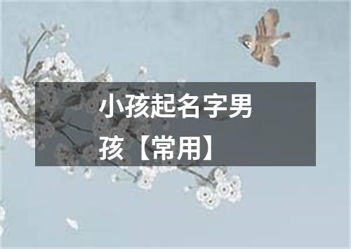 小孩起名字男孩【常用】