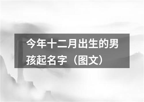 今年十二月出生的男孩起名字（图文）