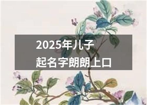 2025年儿子起名字朗朗上口