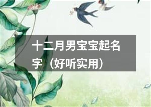 十二月男宝宝起名字（好听实用）