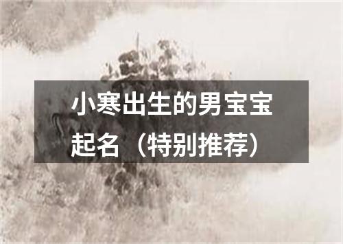 小寒出生的男宝宝起名（特别推荐）