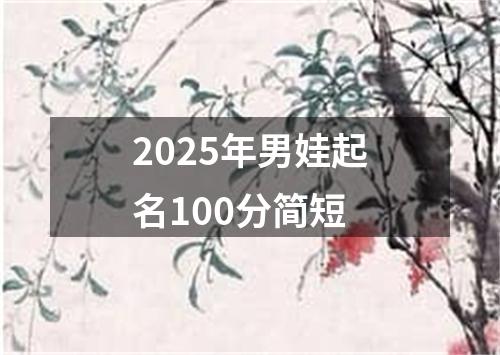 2025年男娃起名100分简短