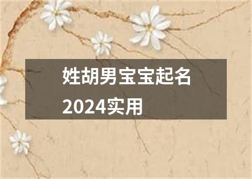 姓胡男宝宝起名2024实用