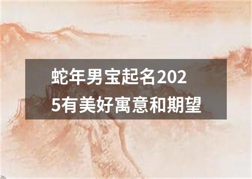 蛇年男宝起名2025有美好寓意和期望
