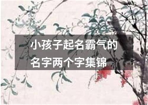 小孩子起名霸气的名字两个字集锦