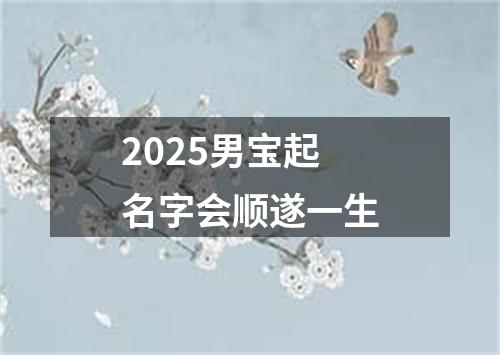 2025男宝起名字会顺遂一生