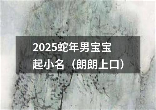 2025蛇年男宝宝起小名（朗朗上口）