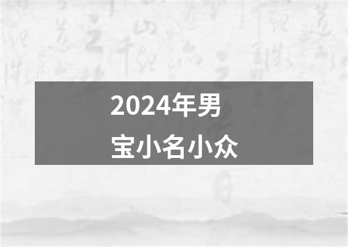 2024年男宝小名小众