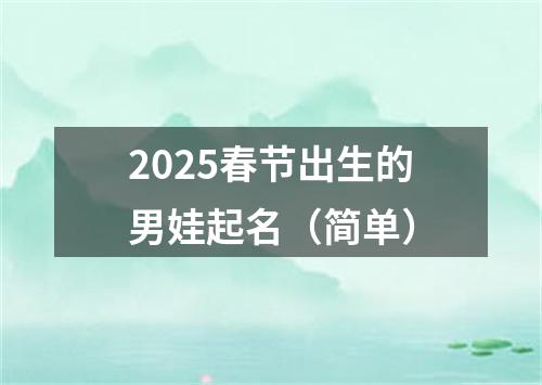 2025春节出生的男娃起名（简单）