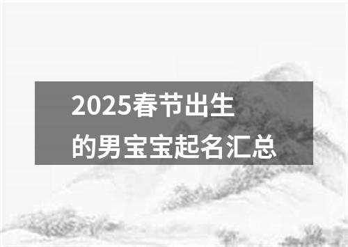 2025春节出生的男宝宝起名汇总