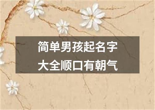 简单男孩起名字大全顺口有朝气