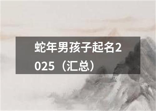 蛇年男孩子起名2025（汇总）