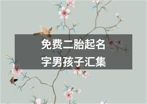 免费二胎起名字男孩子汇集