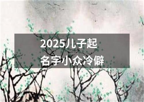 2025儿子起名字小众冷僻