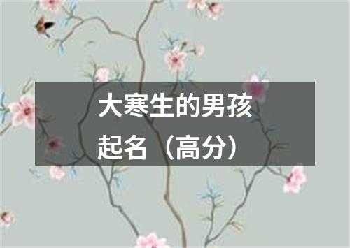 大寒生的男孩起名（高分）