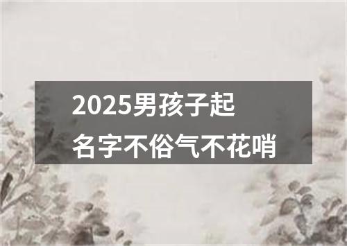 2025男孩子起名字不俗气不花哨