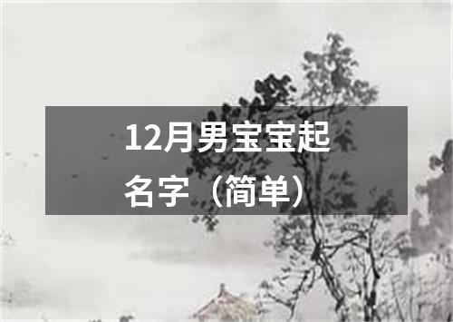 12月男宝宝起名字（简单）