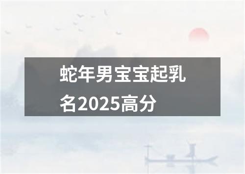 蛇年男宝宝起乳名2025高分