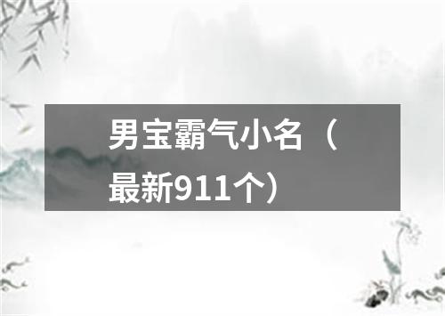 男宝霸气小名（最新911个）