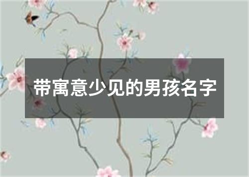 带寓意少见的男孩名字